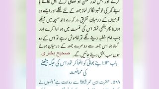 میری جَانب بھی ہو اِک نگاہِ کرم، اے شفیع الواریٰﷺ، خاتم الانبیاءﷺ 32
