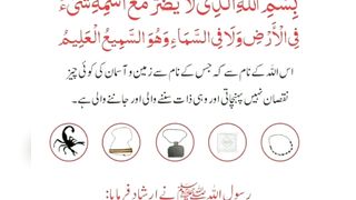 میری جَانب بھی ہو اِک نگاہِ کرم، اے شفیع الواریٰﷺ، خاتم الانبیاءﷺ 33