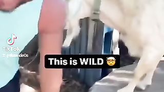 Wee videos 71