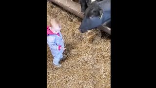 Funniest Animals Videos 2023 - Try Not To Laugh Funny Dogs And Cat