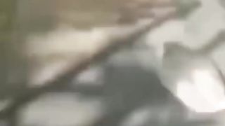 Tidur lah yang lelap kawan ku
