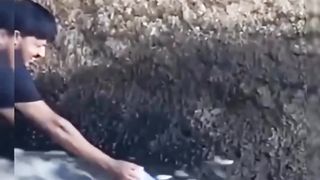 Menangkap ikan kecil pakai teko