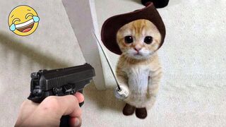 Funniest Animals Videos ???? Funny Cats And Dogs ???? Best Of 2023