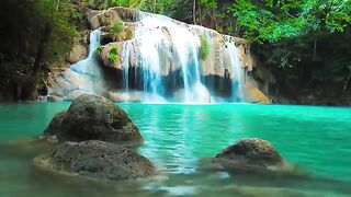 Musique Douce: Relaxante, Calme - Nature Relaxation