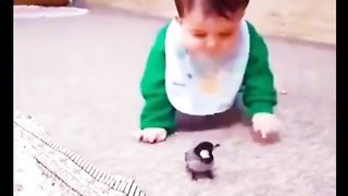 So cute real video//#viewers #view #views #like