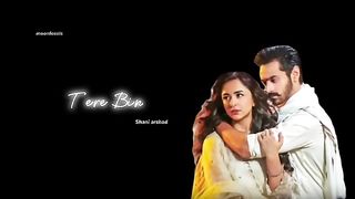 Tere_Bin__ost__wahaj_ali___yumna_zaidi___shani_arshad___moonfeeels(360p).
