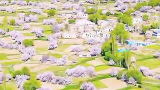Earnwithasif 2