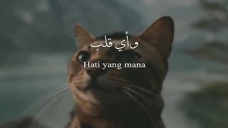 Allah Lebih Tau Mana Yang Pantas Buat Kita
