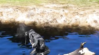 GTA V _ ЛЕВ СПАСЕТ КОРОВЕНКА ОТ ЯДА ????_
