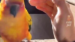 Cute little animals, share with interesting people