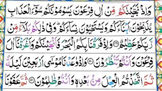 Surah Al Baqarah Word by Word With Tajweed -Learn Surah Al Baqarah - Learn Quran With Tajweed By Qari Muhammad Saleem