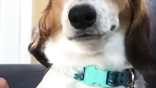 entertainment compilation 22