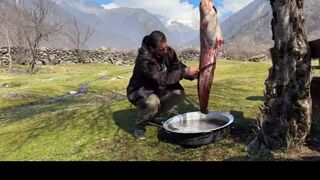 I caught a huge fish and cooked it in a big tandoor! fish day at v