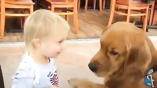 Cute pet 5