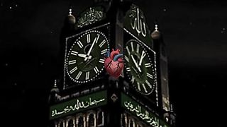 videos 41