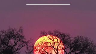 MOTIVATION QUOTES 6