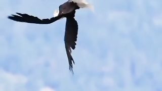 Amazing video super