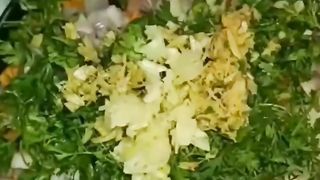 Veg. Fried momos Recipe