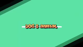 TOP 10 dog barking videos compilation 2016 ♥ Dog barking sound - Funny dogs 2