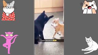 Funny Animal Videos 2023 7