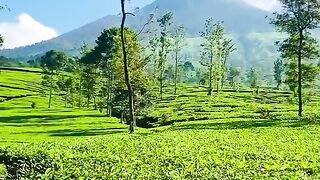 PEMANDANGAN PART 2
