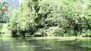 Surah Tahreem by Mohsin #trending #viral #quran #status # #muslim #meditation #asmr #relaxing