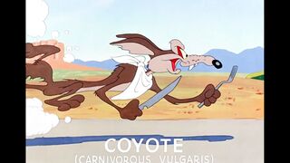 Zipping Along cartoon #viralvideo #cartoon #game #funnyvideo
