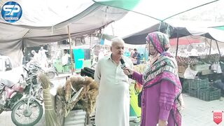 AWAM KA FAYSLA Mochipora ki kis ke Sath Election ki Der PDM,PTI یا Or KOI Hlat Khrab