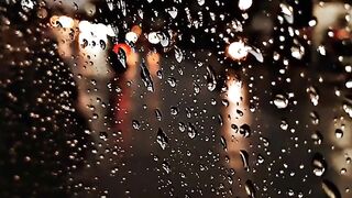 rain lover