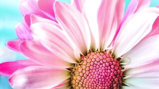 Relaxing Music for Stress Relief and Healing Meditation, Soothing Music for Relaxing, Stress Relief