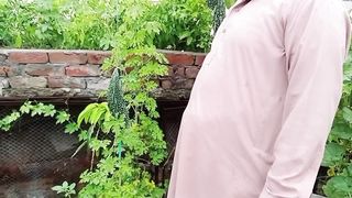 ہماری چھت پے اتنے بڑے کریلے