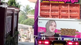 Truk ayam chicken run mboisss