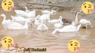 Beautiful???? video
