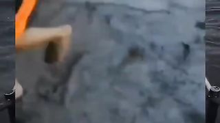 Funny videos 188