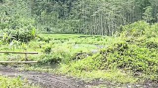 Country river flow