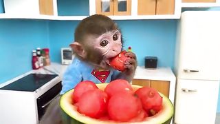 Monkey_Baby_Bon_Bon_Bathing_In_The_Bathroom_With_Eating_Watermelon_With_Ducklings_Side_Swimming_Pool(360p).