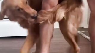Funny animals 2023???? - Funniest Cats and Dogs Video????????207