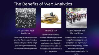 Web Analytics in Business Perspective