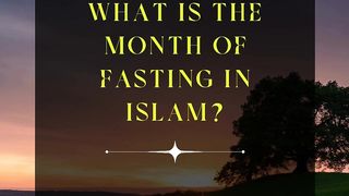 Question & Answer  3