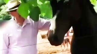 Human VS Animals ????????