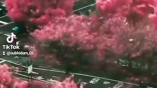 Дождь Rain