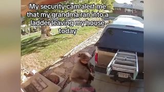 RE: Funny Videos | Instant Regret | Fails Of The Week | Fail Compilation | Fails | RandomFails