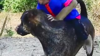 Monkey vs Dog funny comedy video