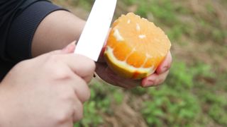 Chinese oranges are very delicious, fresh and delicious,The oranges were delicious