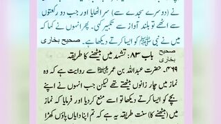 میری جَانب بھی ہو اِک نگاہِ کرم، اے شفیع الواریٰﷺ، خاتم الانبیاءﷺ 36