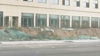 FLYING CAR WENT VIRAL