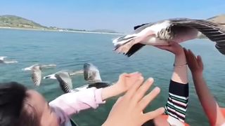 Утка