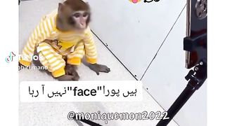 Funny video spot me bhai log 19