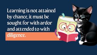 QUOTES about learning