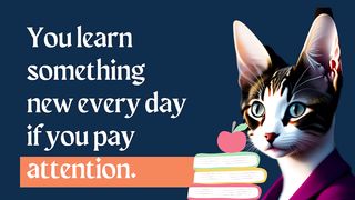 Favorite QUOTES about education